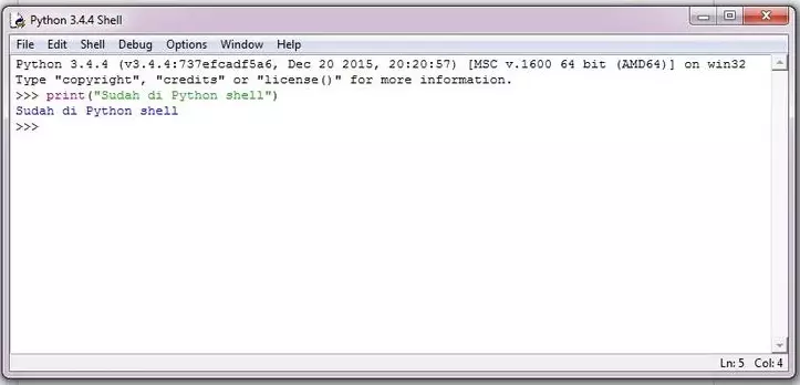 python shell windows