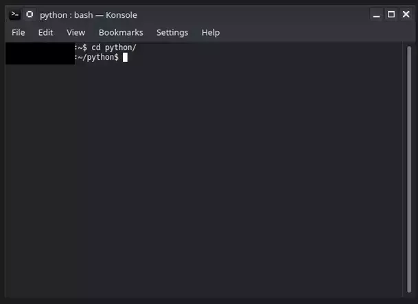 run program python