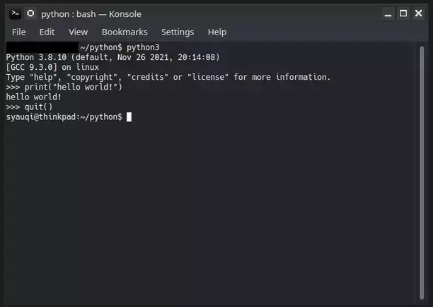 terminal linux python